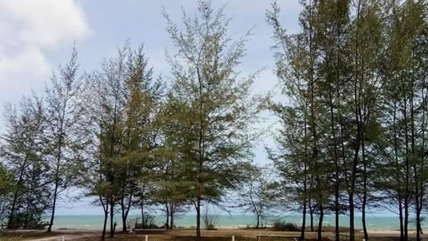 Paka Tamim Seaview Hotel エクステリア 写真